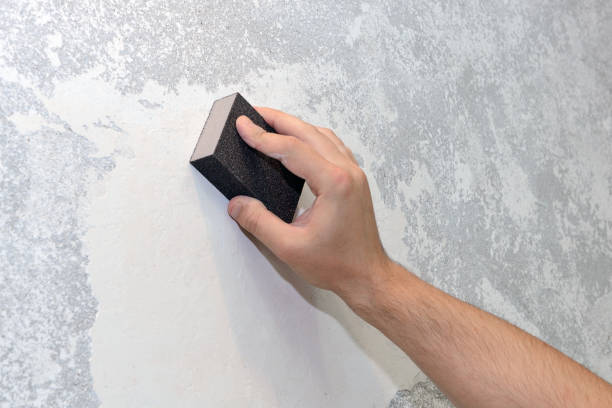 Best Mold Remediation for Healthcare Facilities  in Norristown, PA