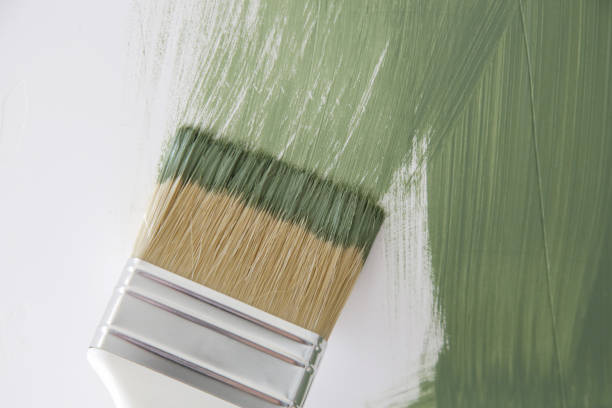 Best Mold Remediation for Vacation Homes  in Norristown, PA