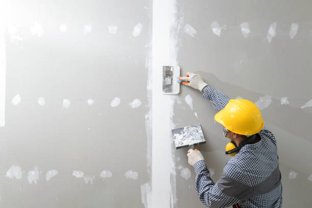 Best HVAC Mold Inspection and Cleaning  in Norristown, PA