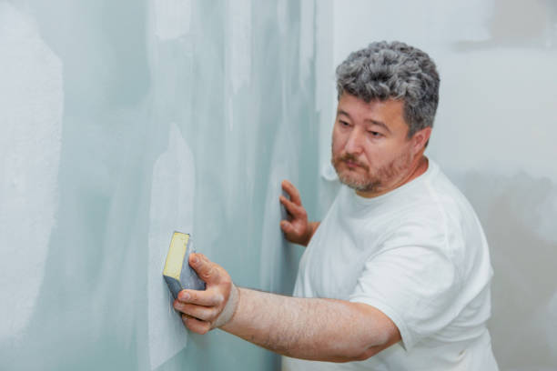Environmental Consulting for Mold Prevention in Norristown, PA