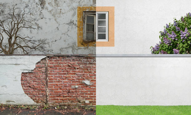 Best Commercial Mold Inspection  in Norristown, PA