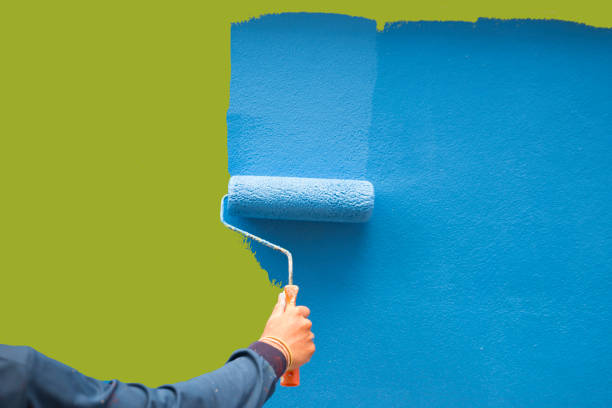 Reliable Norristown, PA Mold Removal Solutions